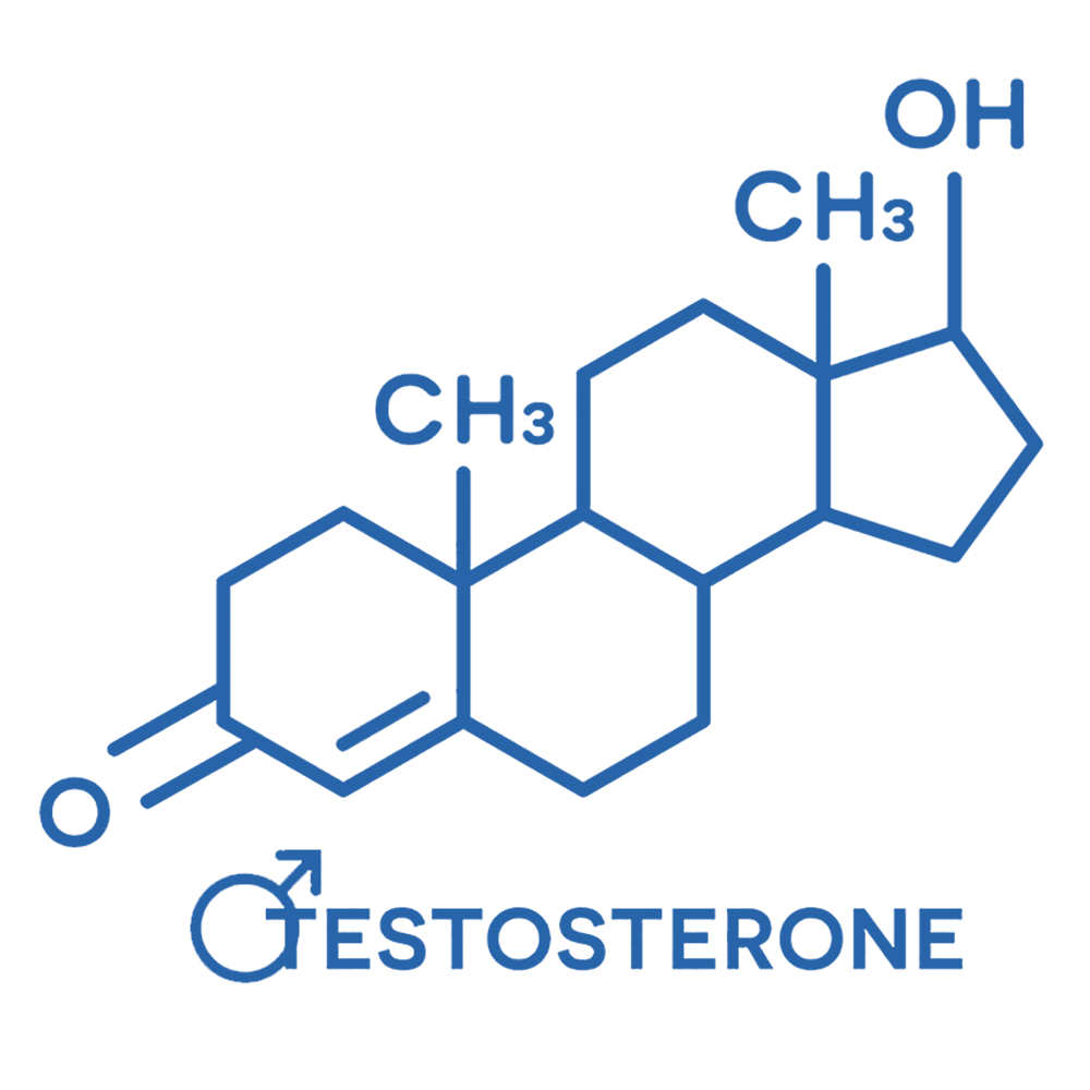 Studies conducted on the testosterone hormone booster effect of Gamma-Oryzanol